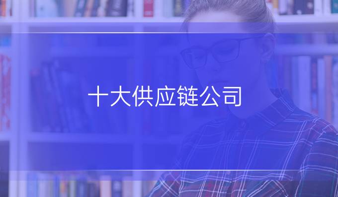 十大供应链公司