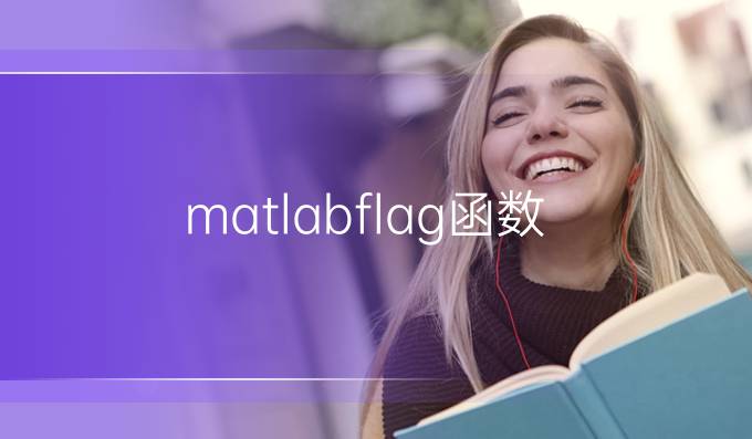 matlabflag函数