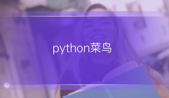 python菜鸟