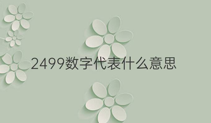 2499数字代表什么意思