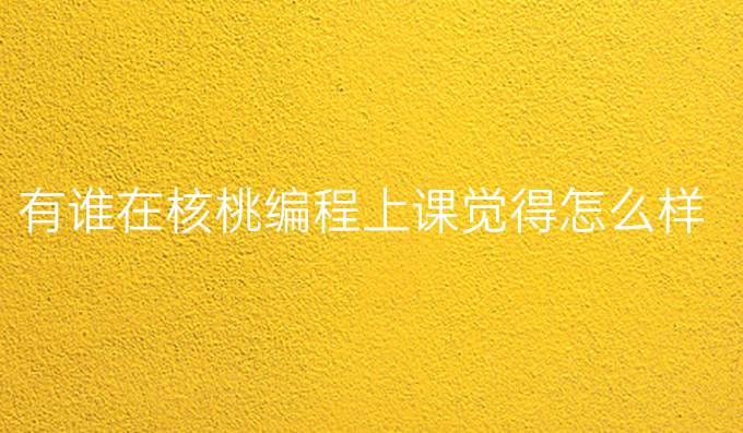 有谁在核桃编程上课觉得怎么样