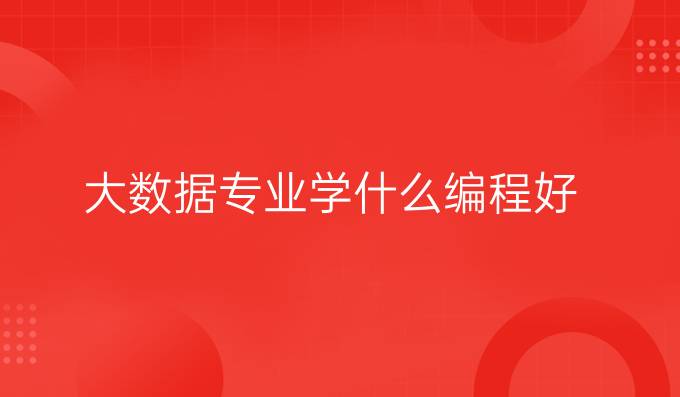 大数据专业学什么编程好