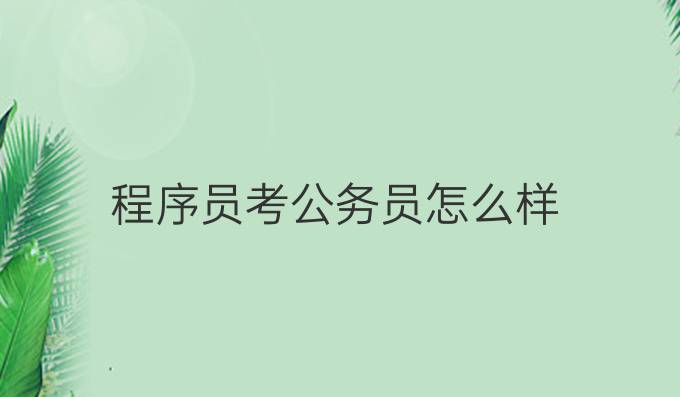 程序员考公务员怎么样