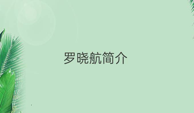 罗晓航简介