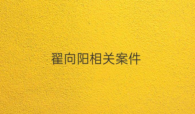 翟向阳相关案件