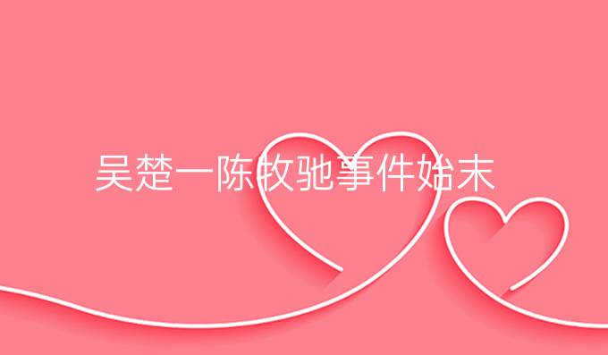 吴楚一陈牧驰事件始末