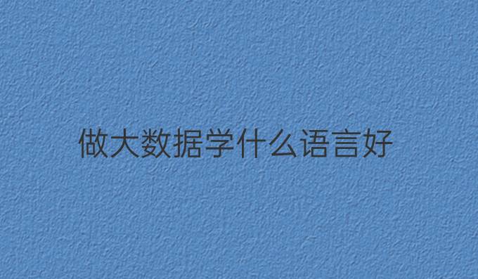 做大数据学什么语言好
