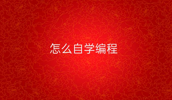 怎么自学编程