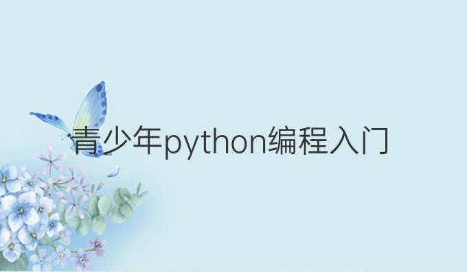 青少年python编程入门