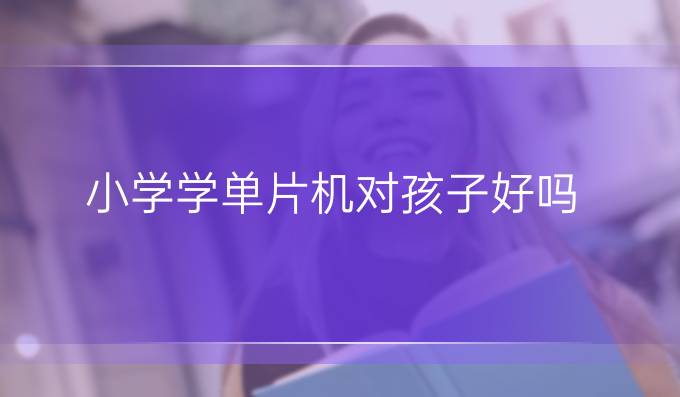 小学学单片机对孩子好吗