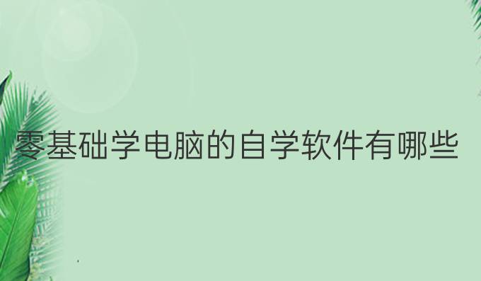 零基础学电脑的自学软件有哪些