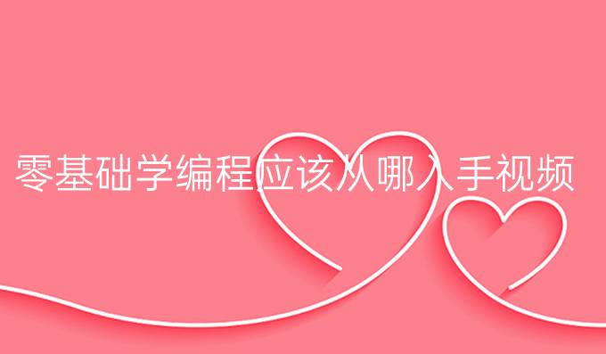 零基础学编程应该从哪入手视频