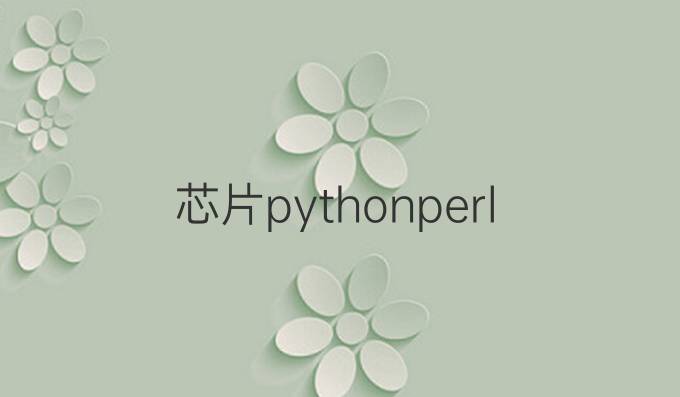 芯片pythonperl