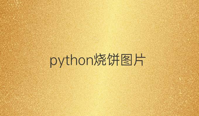python烧饼图片