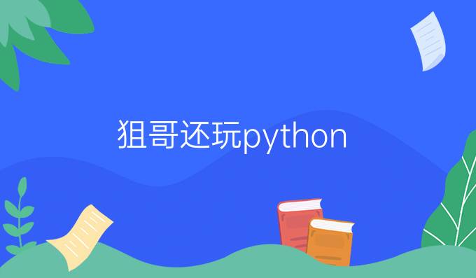 狙哥还玩python