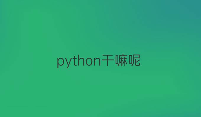 python干嘛呢