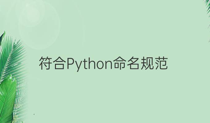 符合Python命名规范