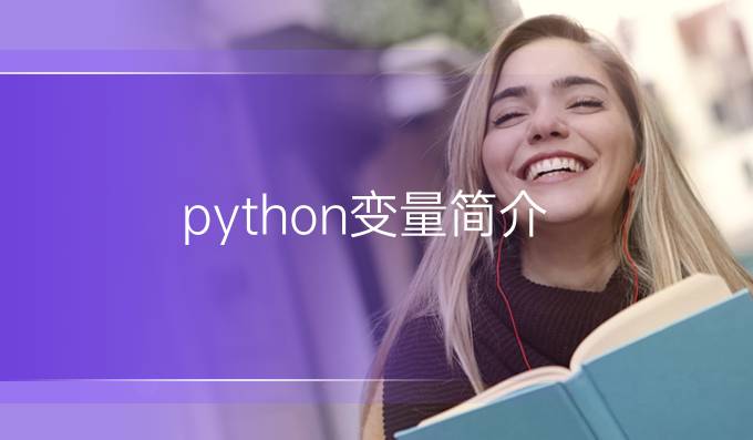 python变量简介