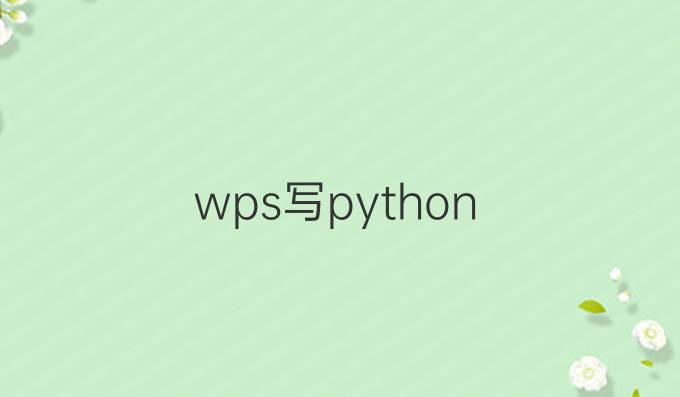 wps写python