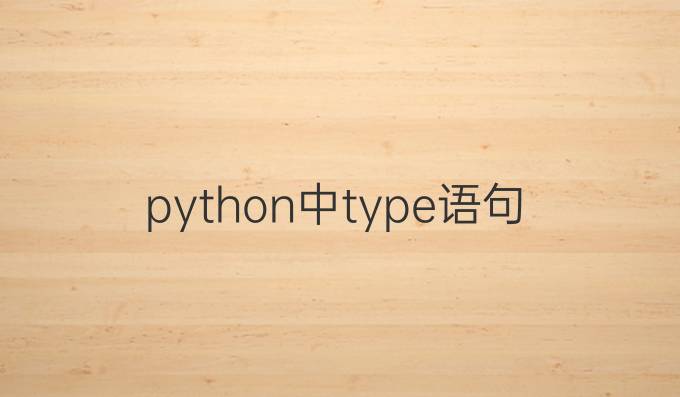 python中type语句