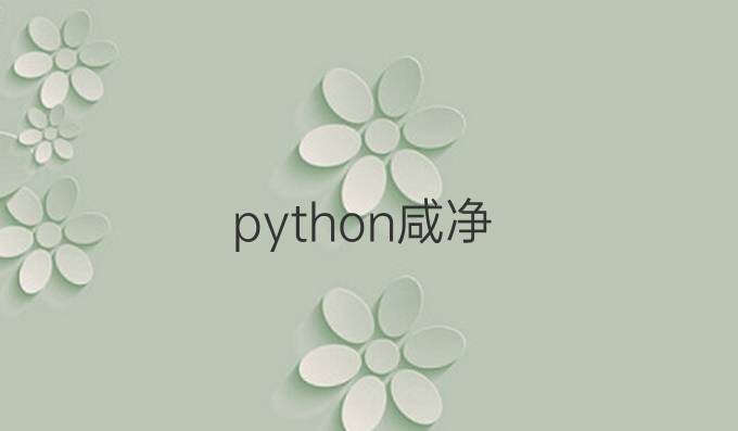 python咸净