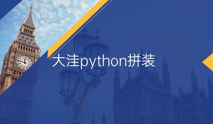 大洼python拼装