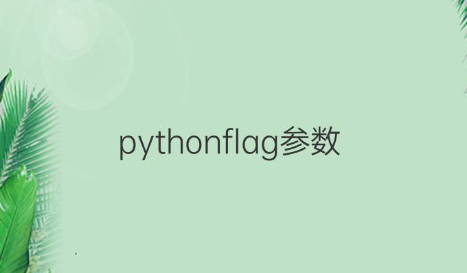 python flag参数
