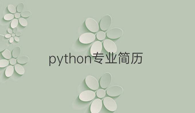 python专业简历