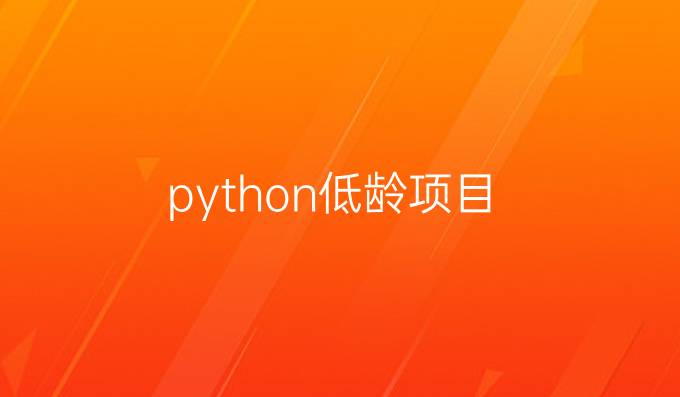 python低龄项目