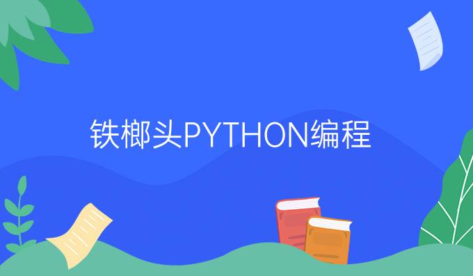 铁榔头PYTHON编程