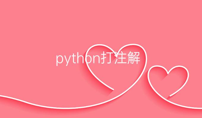 python打注解