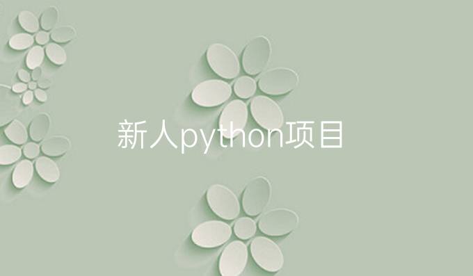 新人python项目