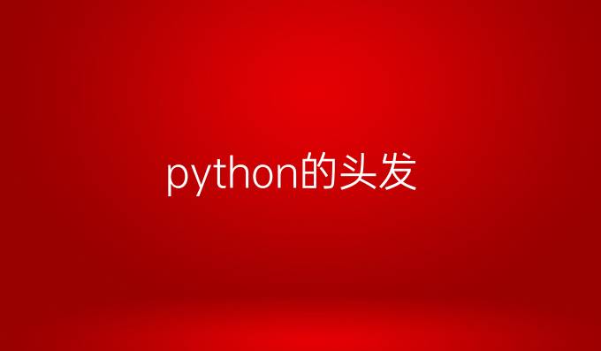 python的头发