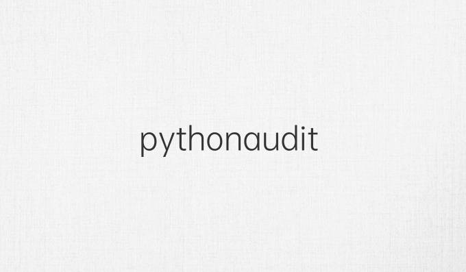 python audit