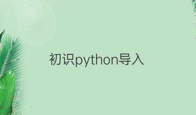 初识python导入