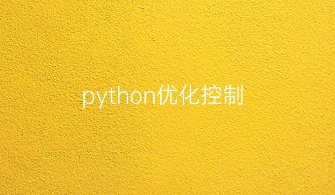 python优化控制