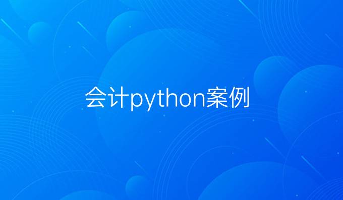 会计python案例