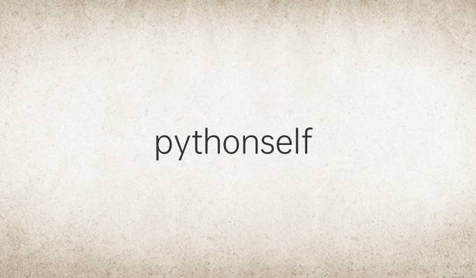python self()