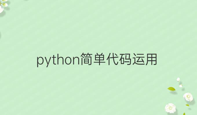 python简单代码运用