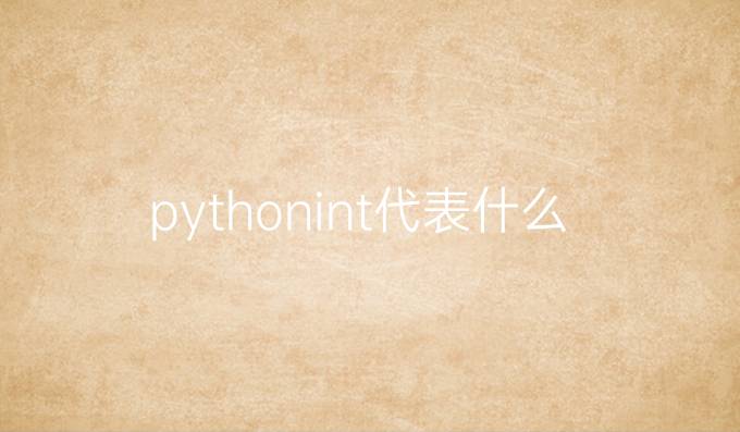 python int代表什么