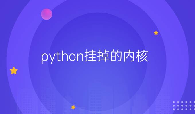 python挂掉的内核