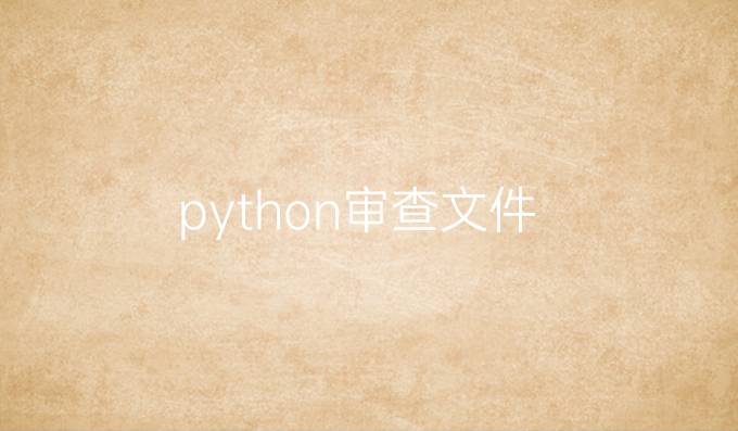 python审查文件